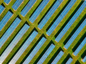 Going green in business with solar panels